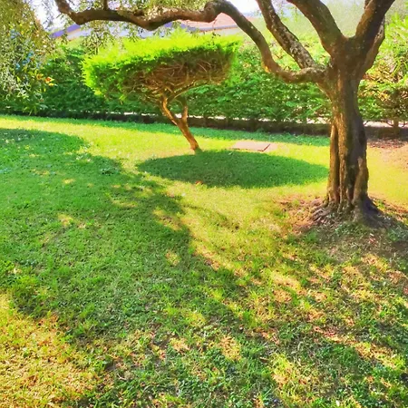 Apartman Bellavista *